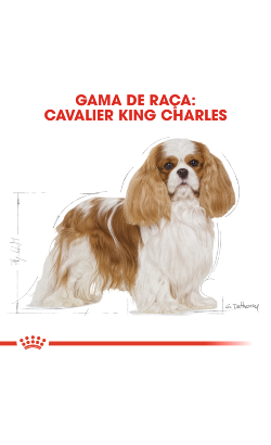 Royal Canin Cavalier King Charles Adult – imagem secundária 3