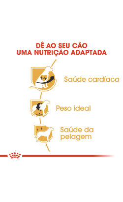 Royal Canin Cavalier King Charles Adult – imagem secundária 4
