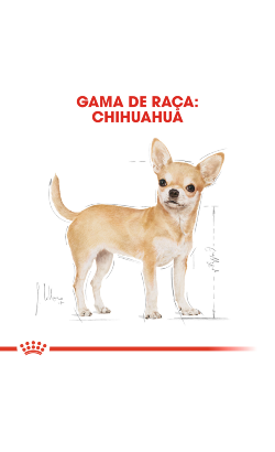 Royal Canin Chihuahua Adult – imagem secundária 3