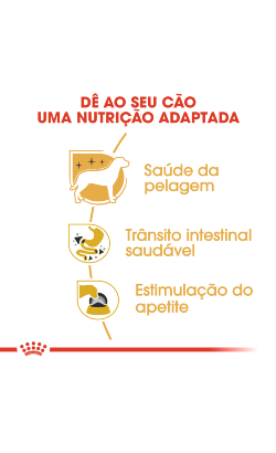Royal Canin Chihuahua Adult – imagem secundária 4
