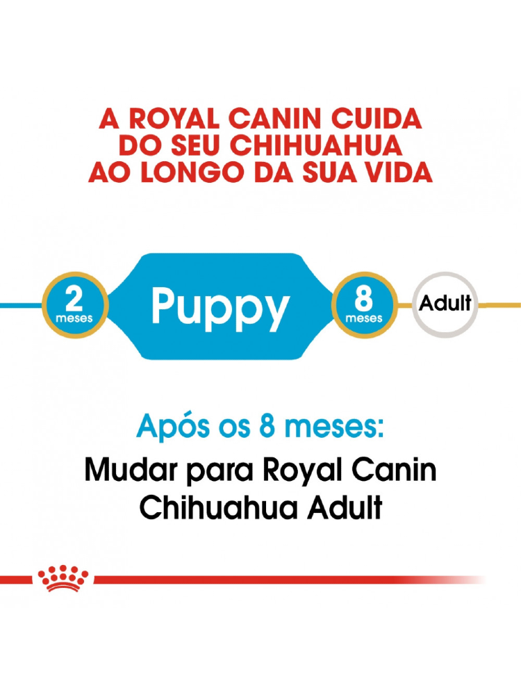 Royal Canin Chihuahua Puppy – imagem secundária 2