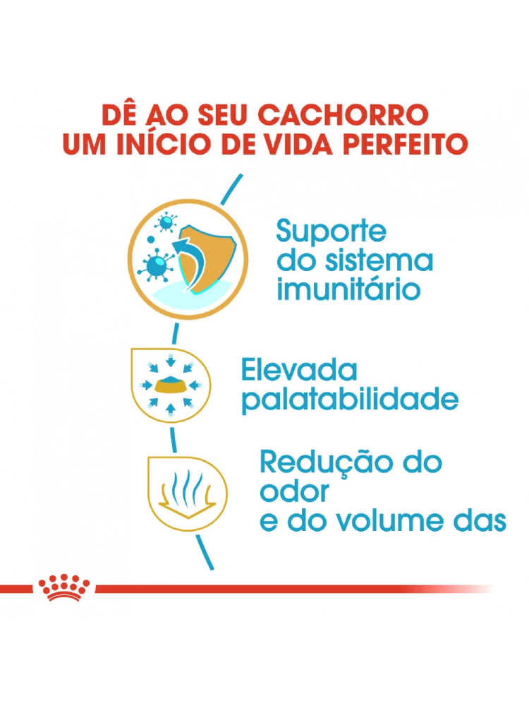 Royal Canin Chihuahua Puppy – imagem secundária 4