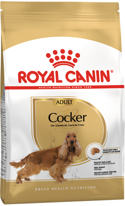 Royal Canin Cocker Adult – imagem secundária 1