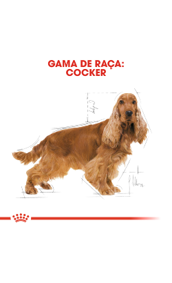 Royal Canin Cocker Adult – imagem secundária 3