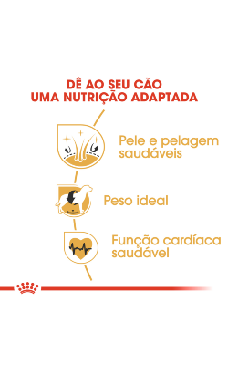 Royal Canin Cocker Adult – imagem secundária 4