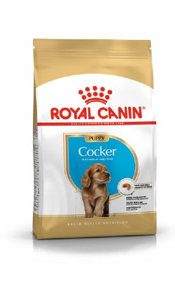 Royal Canin Cocker Puppy – imagem secundária 1