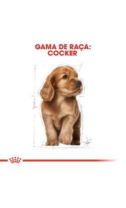 Royal Canin Cocker Puppy – imagem secundária 3