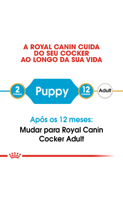 Royal Canin Cocker Puppy – imagem secundária 4