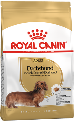 Royal Canin Dachshund Adult – imagem secundária 1