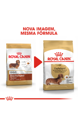 Royal Canin Dachshund Adult – imagem secundária 2
