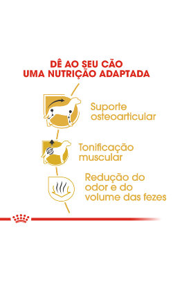 Royal Canin Dachshund Adult – imagem secundária 4