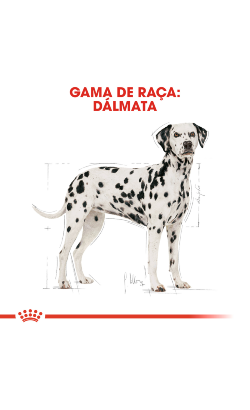 Royal Canin Dalmatian Adult – imagem secundária 3