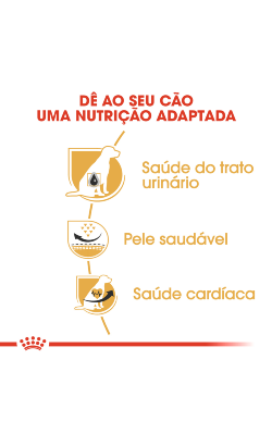 Royal Canin Dalmatian Adult – imagem secundária 4