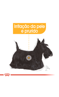 Royal Canin Dermacomfort – imagem secundária 2