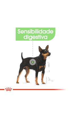 Royal Canin Digestive Care in Loaf – imagem secundária 2