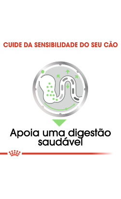 Royal Canin Digestive Care in Loaf – imagem secundária 3