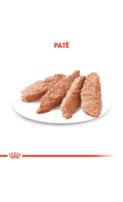 Royal Canin Digestive Care in Loaf – imagem secundária 4