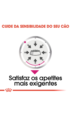 Royal Canin Exigent – imagem secundária 3