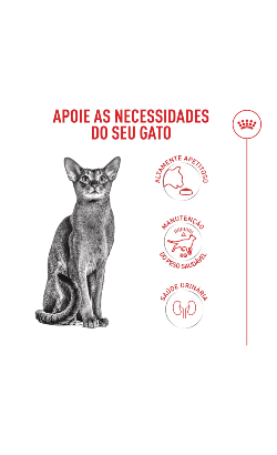 Royal Canin Feline Health Nutrition Fussy Exigent – imagem secundária 5