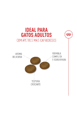 Royal Canin Feline Health Nutrition Fussy Exigent – imagem secundária 6