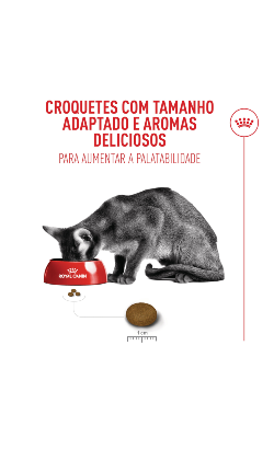 Royal Canin Feline Health Nutrition Fussy Exigent – imagem secundária 7