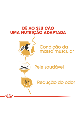 Royal Canin French Bulldog Adult – imagem secundária 2