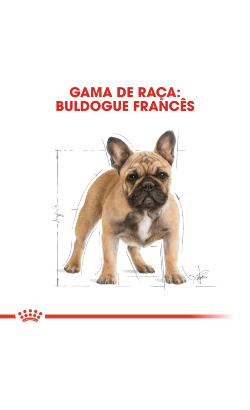 Royal Canin French Bulldog Adult – imagem secundária 5