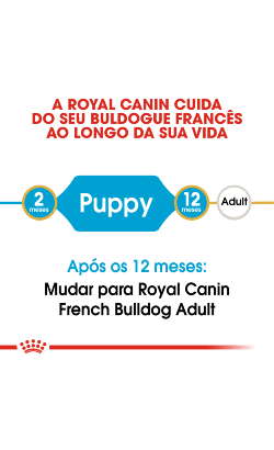 Royal Canin French Bulldog Puppy – imagem secundária 4