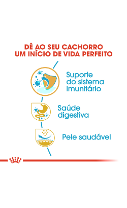 Royal Canin French Bulldog Puppy – imagem secundária 5