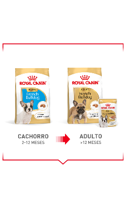 Royal Canin French Bulldog Puppy – imagem secundária 7