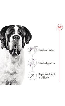 Royal Canin Giant Adult – imagem secundária 1