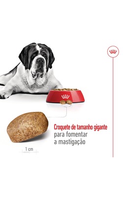 Royal Canin Giant Adult – imagem secundária 3