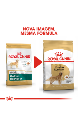 Royal Canin Golden Retriever Adult – imagem secundária 2