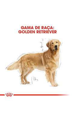 Royal Canin Golden Retriever Adult – imagem secundária 3