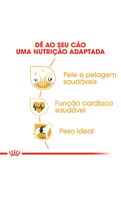 Royal Canin Golden Retriever Adult – imagem secundária 4