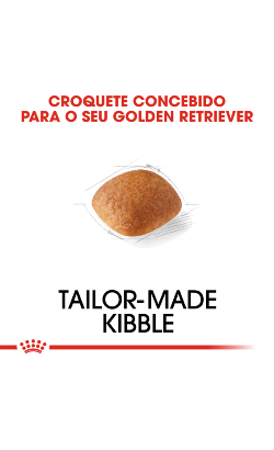 Royal Canin Golden Retriever Adult – imagem secundária 5