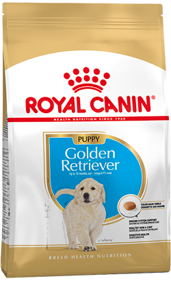 Royal Canin Golden Retriever Puppy – imagem secundária 1