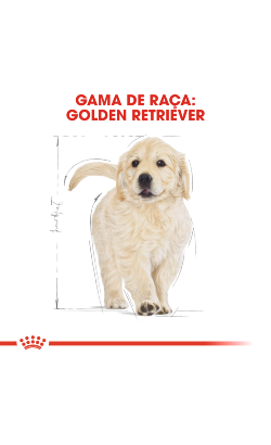 Royal Canin Golden Retriever Puppy – imagem secundária 3