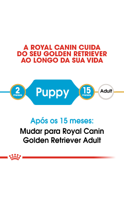 Royal Canin Golden Retriever Puppy – imagem secundária 4