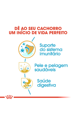 Royal Canin Golden Retriever Puppy – imagem secundária 5