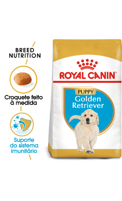 Royal Canin Golden Retriever Puppy – imagem principal