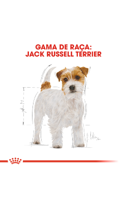 Royal Canin Jack Russell Terrier Adult – imagem secundária 3
