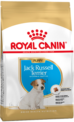 Royal Canin Jack Russell Terrier Puppy – imagem secundária 1