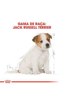 Royal Canin Jack Russell Terrier Puppy – imagem secundária 3