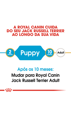 Royal Canin Jack Russell Terrier Puppy – imagem secundária 4