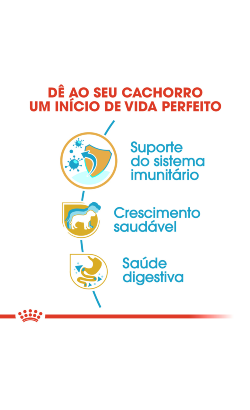 Royal Canin Jack Russell Terrier Puppy – imagem secundária 5