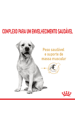 Royal Canin Labrador Ageing 5+ – imagem secundária 2