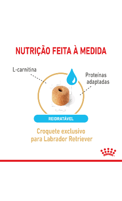 Royal Canin Labrador Ageing 5+ – imagem secundária 3