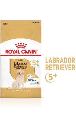 Royal Canin Labrador Ageing 5+ – imagem principal
