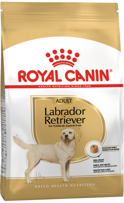 Royal Canin Labrador Retriever Adult – imagem secundária 1